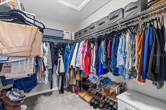 7916 Evergreen Creek Ct, Riverview, FL 33578 - walk in closet featuring carpet flooring and attic access