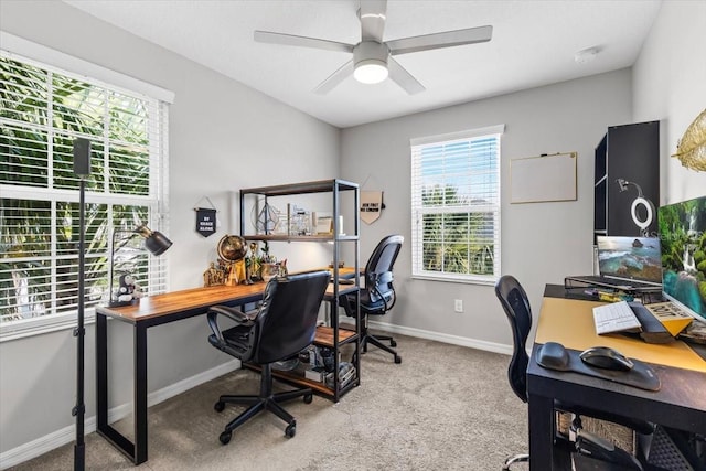 7916 Evergreen Creek Ct, Riverview, FL 33578 - office featuring healthy amount of natural light, a ceiling fan, and carpet