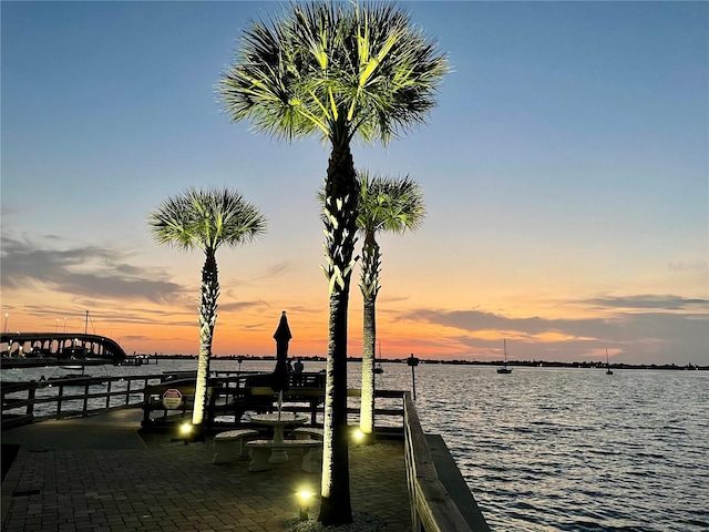100 Bluff View Dr Unit 115C, Belleair Bluffs, FL 33770 - dock with a water view