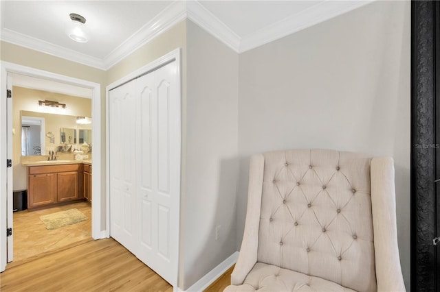 2022 Hawks View Dr, Ruskin, FL 33570 - bathroom with vanity, wood finished floors, and ornamental molding