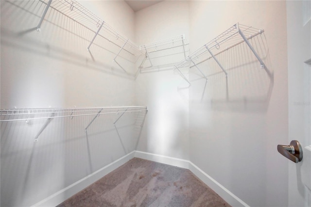 16425 66th Ln E, Parrish, FL 34219 - spacious closet with carpet floors
