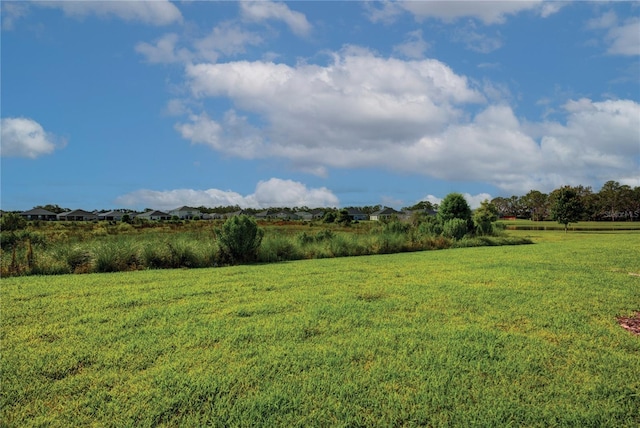 16425 66th Ln E, Parrish, FL 34219 - view of green lawn
