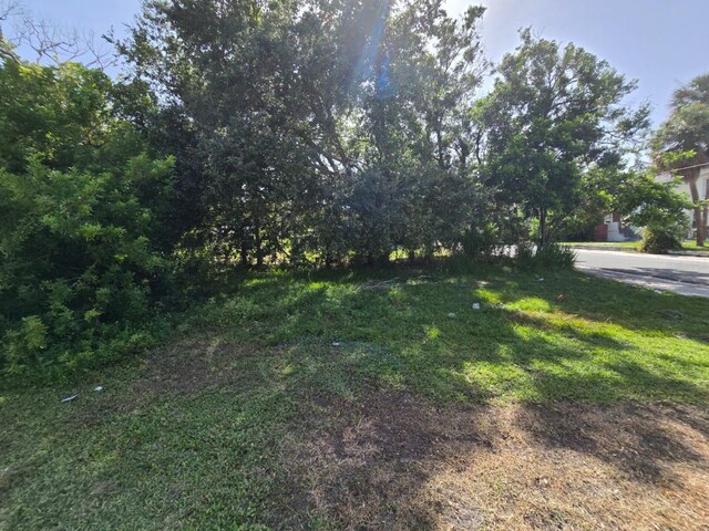 Paris Ave S, Saint Petersburg, FL 33701 - photo 8