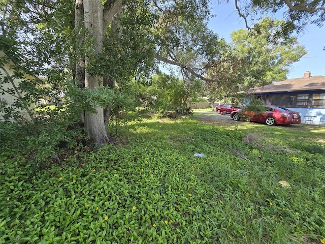Paris Ave S, Saint Petersburg, FL 33701 - photo 5