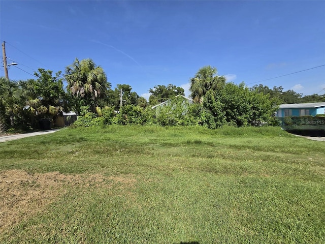 Paris Ave S, Saint Petersburg, FL 33701 - photo 13