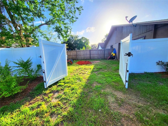 22798 Penny Loop, Land O Lakes, FL 34639 - view of yard