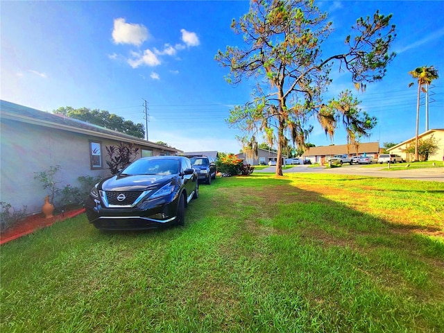 22798 Penny Loop, Land O Lakes, FL 34639 - view of grassy yard