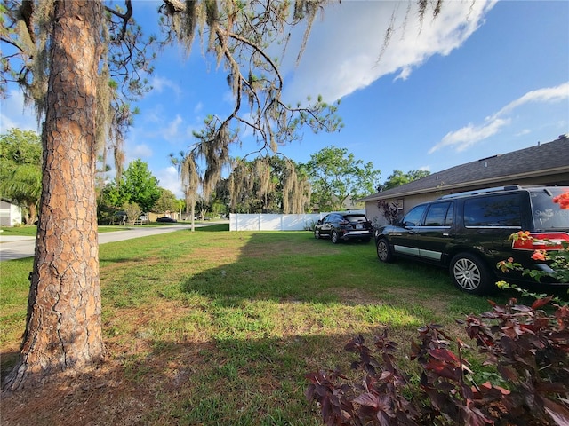 22798 Penny Loop, Land O Lakes, FL 34639 - view of yard