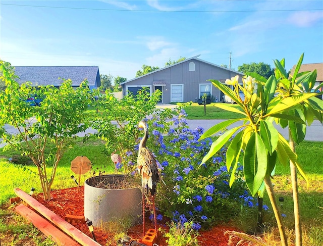 22798 Penny Loop, Land O Lakes, FL 34639 - view of yard