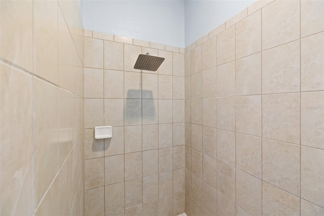 11434 Leland Groves Dr, Riverview, FL 33579 - bathroom with a tile shower