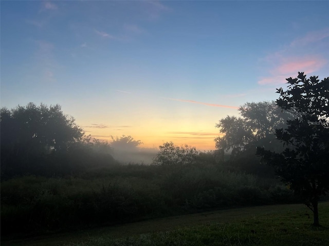 11434 Leland Groves Dr, Riverview, FL 33579 - view of nature at dusk