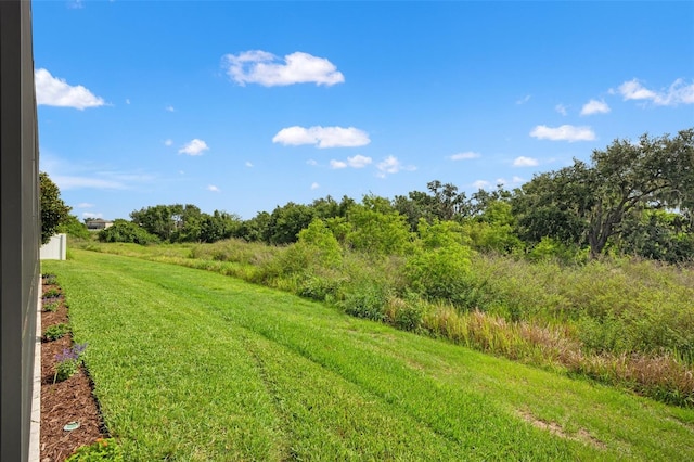 11434 Leland Groves Dr, Riverview, FL 33579 - view of yard