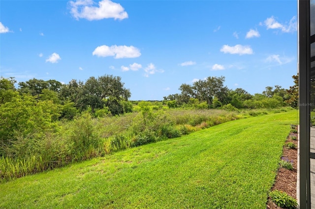 11434 Leland Groves Dr, Riverview, FL 33579 - view of yard
