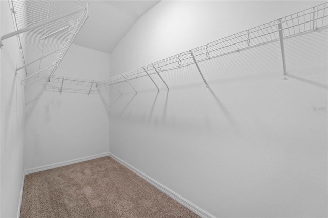 4020 Via Sienna Cir, Sarasota, FL 34243 - photo 9