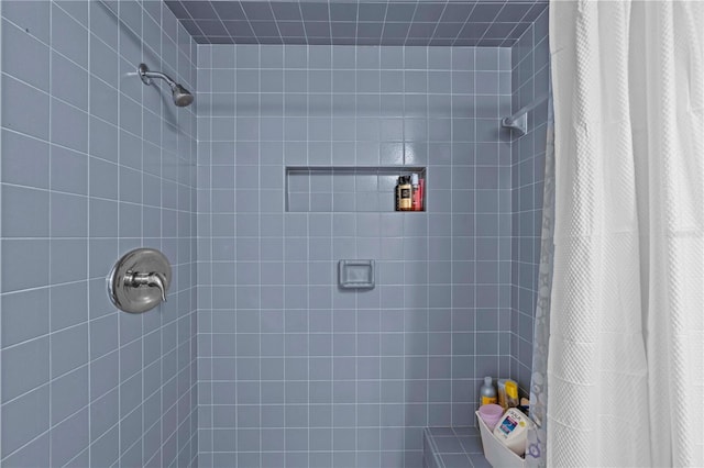 7705 4th Ave W, Bradenton, FL 34209 - bathroom with a tile shower
