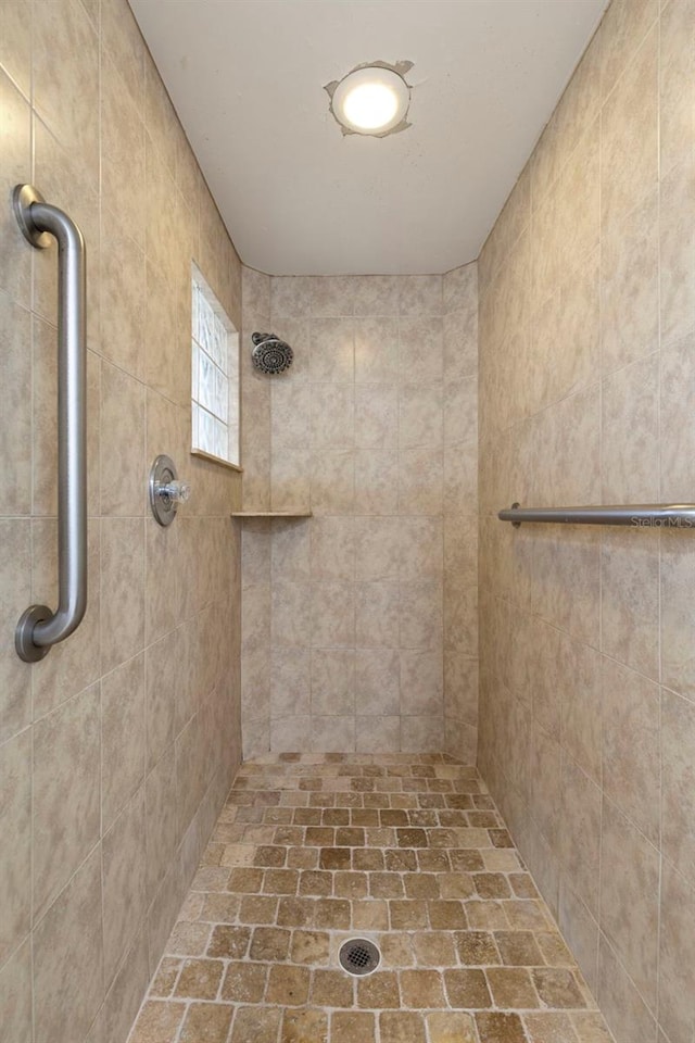 14164 Fennsbury Dr, Tampa, FL 33624 - full bath featuring tiled shower