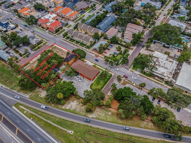 1005 W Platt St, Tampa, FL 33606 - photo 3