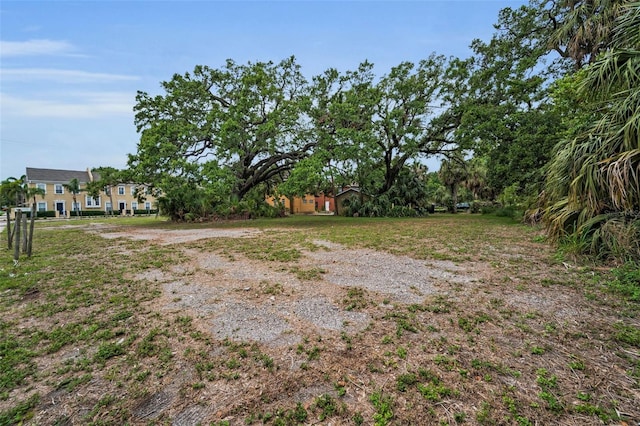 1005 W Platt St, Tampa, FL 33606 - photo 7