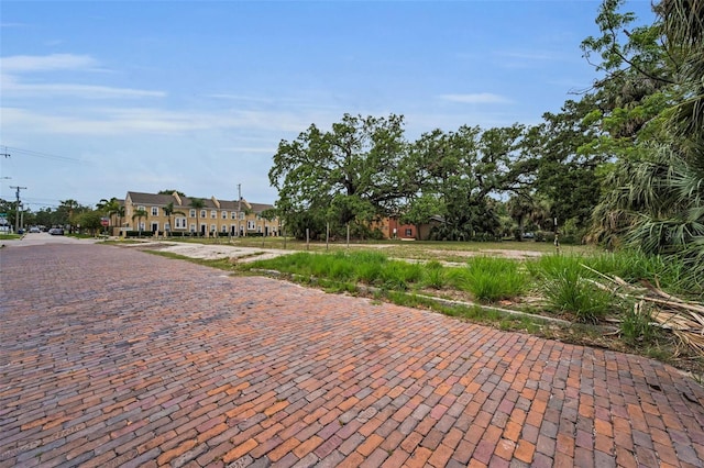 1005 W Platt St, Tampa, FL 33606 - photo 8