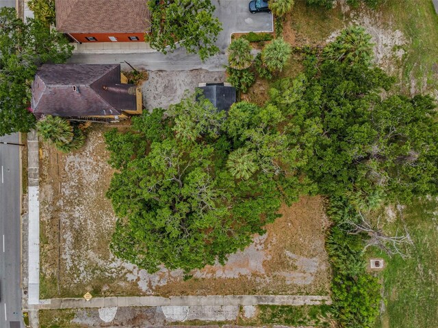 1005 W Platt St, Tampa, FL 33606 - photo 11