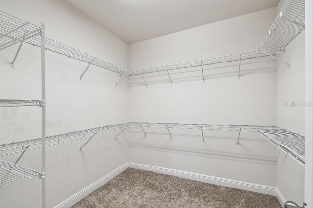 1553 Amber Leaf Cir, Ocoee, FL 34761 - spacious closet with carpet flooring