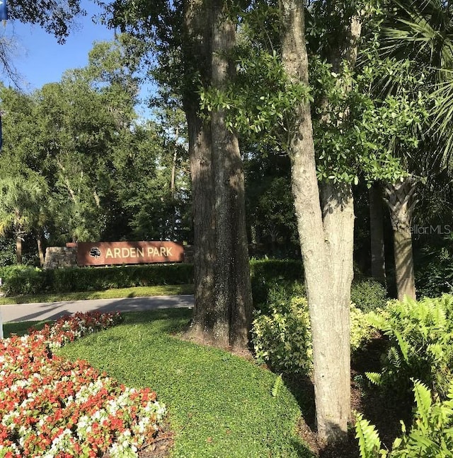 1553 Amber Leaf Cir, Ocoee, FL 34761 - view of yard