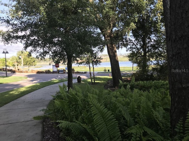 1553 Amber Leaf Cir, Ocoee, FL 34761 - view of surrounding community