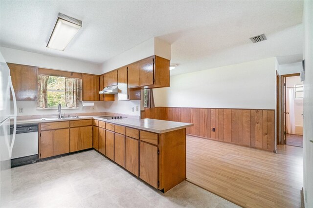 201 W New York Ave, Orange City, FL 32763 - kitchen featuring white dishwasher, under cabinet range hood, a peninsula, wainscoting, and light countertops