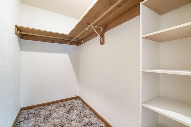 201 W New York Ave, Orange City, FL 32763 - walk in closet with carpet flooring