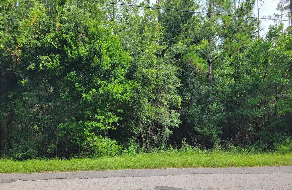 0021 Centenial Dr, Dade City, FL 33525 - photo 1