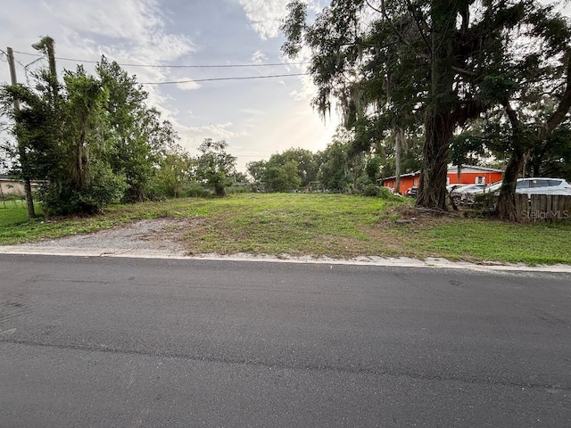 37148 Withlacoochee Ave, Dade City, FL 33523 - photo 3