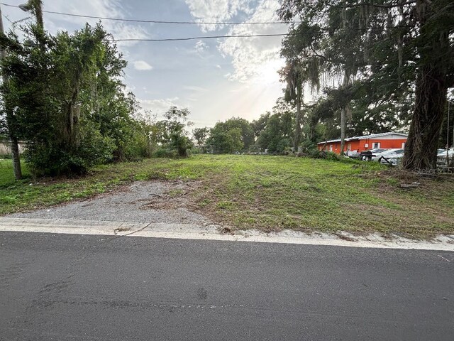 37148 Withlacoochee Ave, Dade City, FL 33523 - photo 4