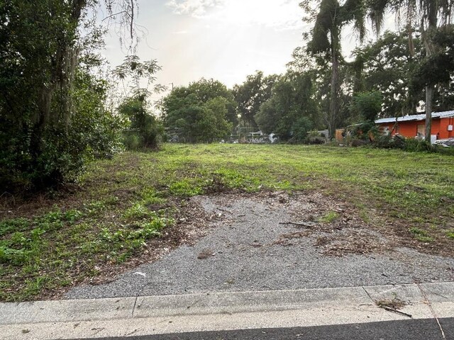 37148 Withlacoochee Ave, Dade City, FL 33523 - photo 5