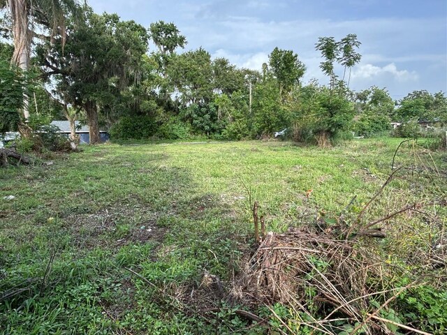 37148 Withlacoochee Ave, Dade City, FL 33523 - photo 6
