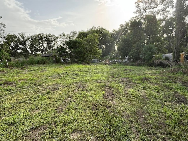 37148 Withlacoochee Ave, Dade City, FL 33523 - photo 8