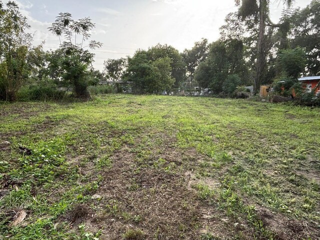 37148 Withlacoochee Ave, Dade City, FL 33523 - photo 9