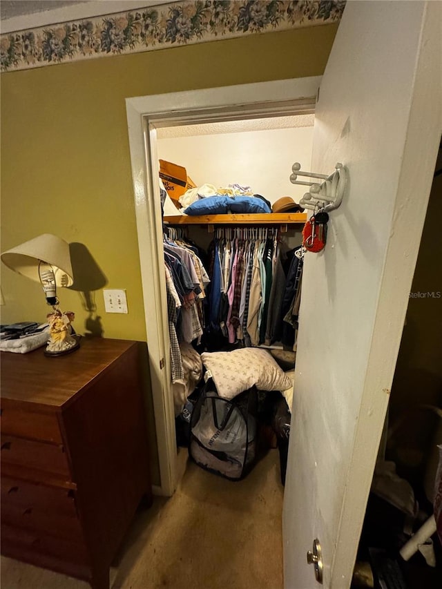 5247 81st St N Unit 2, Saint Petersburg, FL 33709 - spacious closet with carpet floors