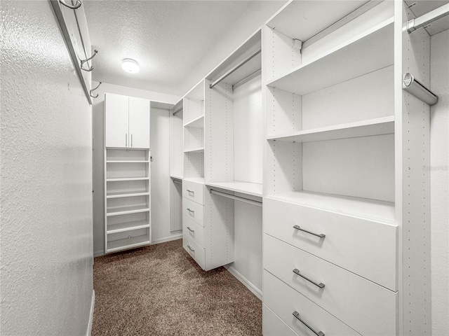 826 Addison Dr NE, Saint Petersburg, FL 33716 - spacious closet with dark carpet