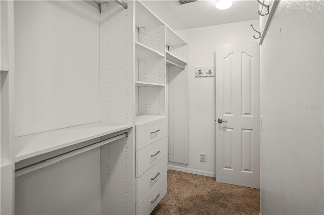 826 Addison Dr NE, Saint Petersburg, FL 33716 - spacious closet featuring dark colored carpet