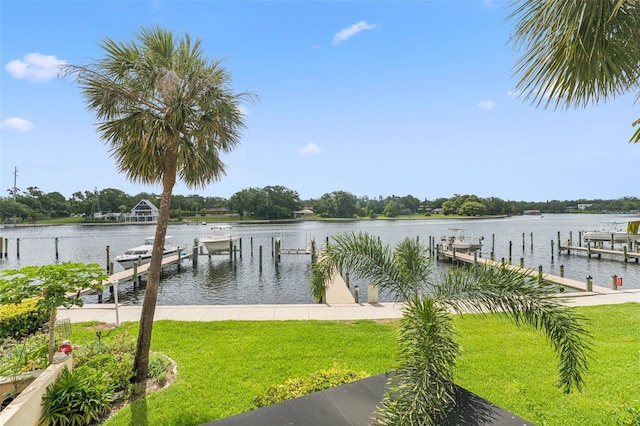 2424 W Tampa Bay Blvd Unit G204, Tampa, FL 33607 - dock area featuring a water view and a yard