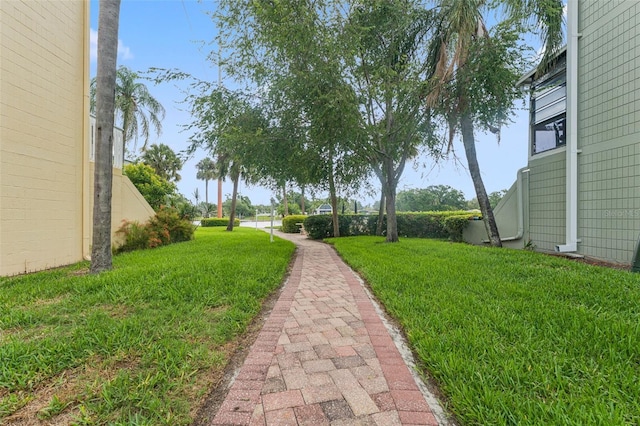 2424 W Tampa Bay Blvd Unit G204, Tampa, FL 33607 - view of grassy yard