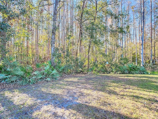 11620 Eastern Star Ct, New Port Richey, FL 34654 - view of yard featuring a forest view