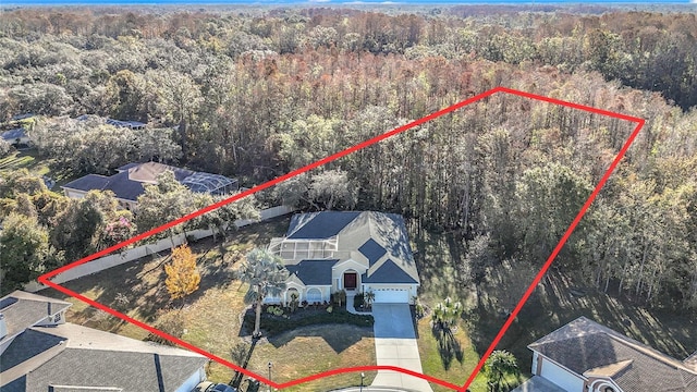 11620 Eastern Star Ct, New Port Richey, FL 34654 - view of subject property featuring a forest and property parcel outlined
