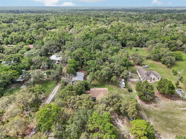 10614 Hudson Ave, Hudson, FL 34669 - aerial view of property's location featuring a forest