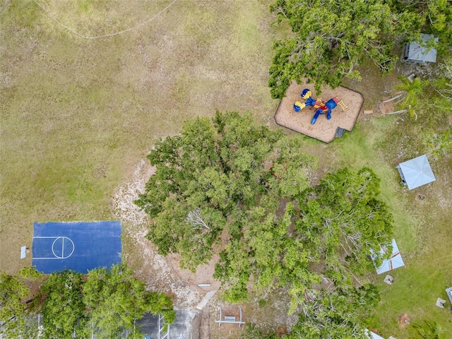 22946 Brownwood Ct, Land O Lakes, FL 34639 - drone / aerial view
