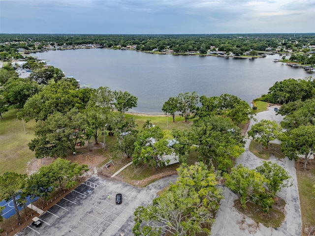 22946 Brownwood Ct, Land O Lakes, FL 34639 - aerial view of a nearby body of water