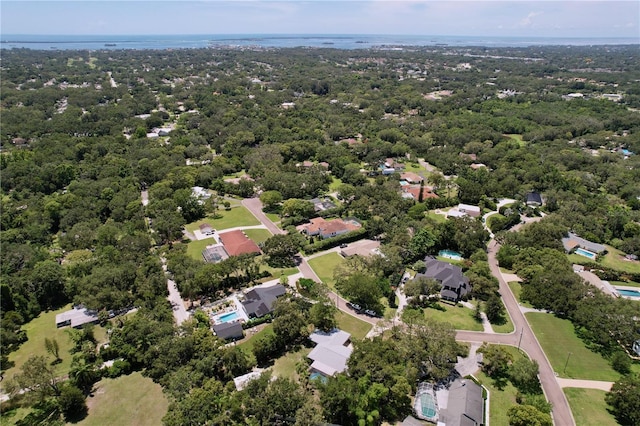 1861 Royal Oak Pl E, Dunedin, FL 34698 - photo 60
