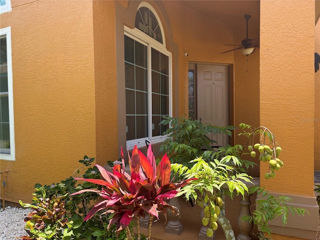 1855 Briland St, Tarpon Springs, FL 34689 - view of exterior entry with stucco siding and a ceiling fan
