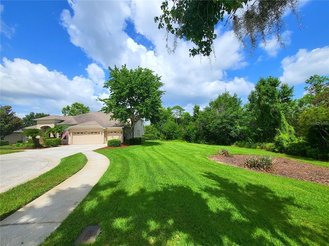 7244 Wild Oak Ln, Land O Lakes, FL 34637 - photo 4