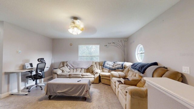 7244 Wild Oak Ln, Land O Lakes, FL 34637 - photo 30